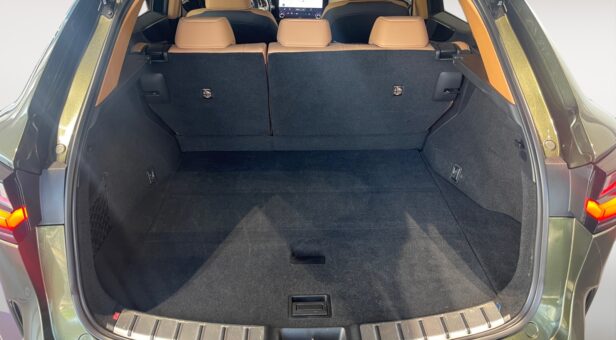 LEXUS NX NX 350h 2WD EXECUTIVE