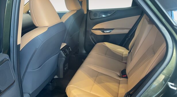 LEXUS NX NX 350h 2WD EXECUTIVE