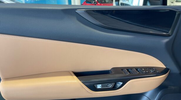 LEXUS NX NX 350h 2WD EXECUTIVE