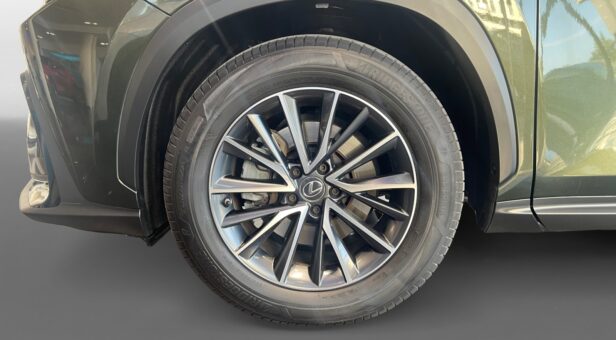 LEXUS NX NX 350h 2WD EXECUTIVE