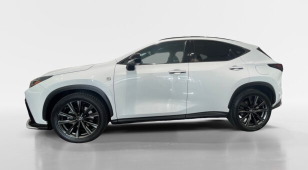 LEXUS NX NX 350h 4WD F SPORT