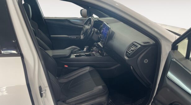 LEXUS NX NX 350h 4WD F SPORT