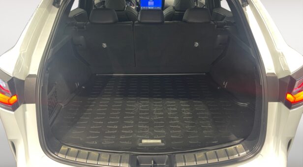 LEXUS NX NX 350h 4WD F SPORT