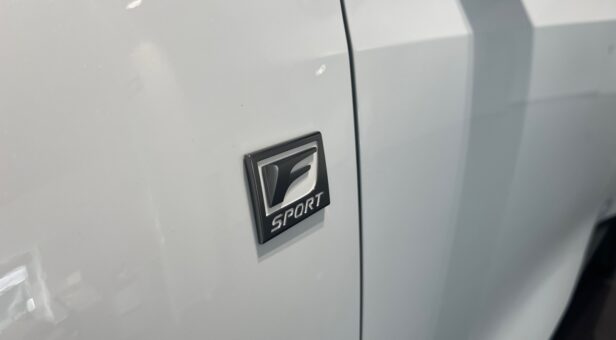 LEXUS NX NX 350h 4WD F SPORT