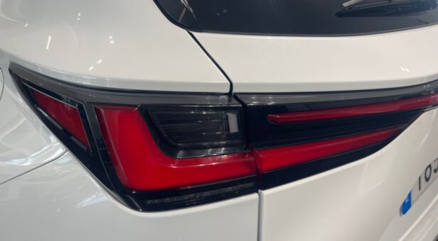 LEXUS NX NX 350h 4WD F SPORT