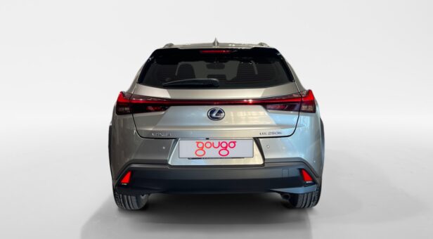 LEXUS UX HIBRIDO UX 250h 2WD PREMIUM