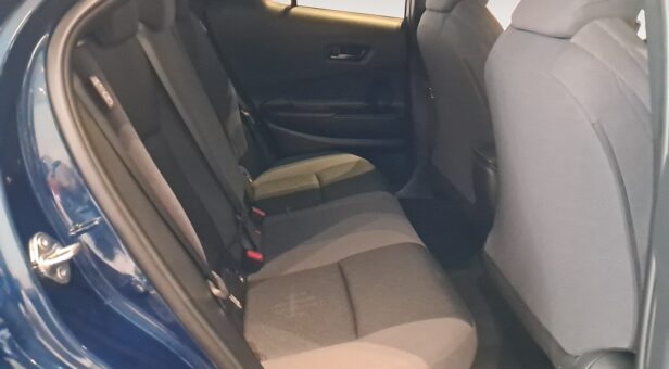 TOYOTA C-HR TODOTERRENO 2.0 HEV HYBRID ADVANCE CVT 196 5p