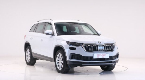 SKODA KODIAQ TODOTERRENO 2.0 TDI 110KW DSG STYLE 150 5p