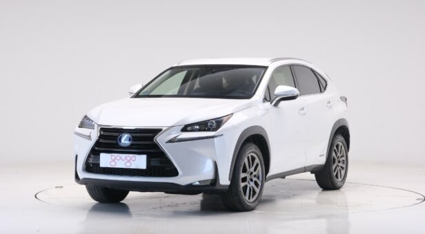 LEXUS NX 300h EXECUTIVE TECNO 4WD AUTO 2.5 197 5p