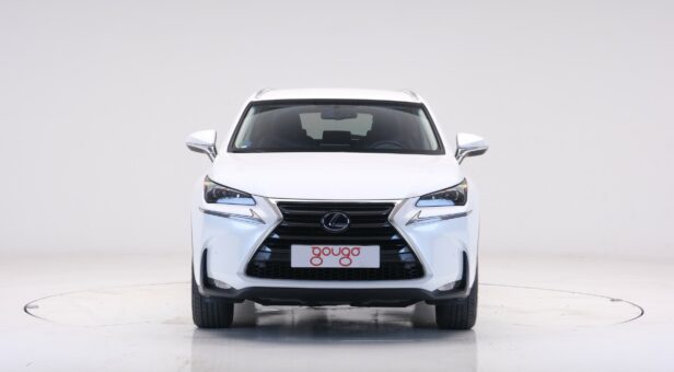 LEXUS NX 300h EXECUTIVE TECNO 4WD AUTO 2.5 197 5p