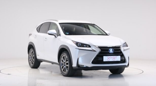 LEXUS NX 300h EXECUTIVE TECNO 4WD AUTO 2.5 197 5p