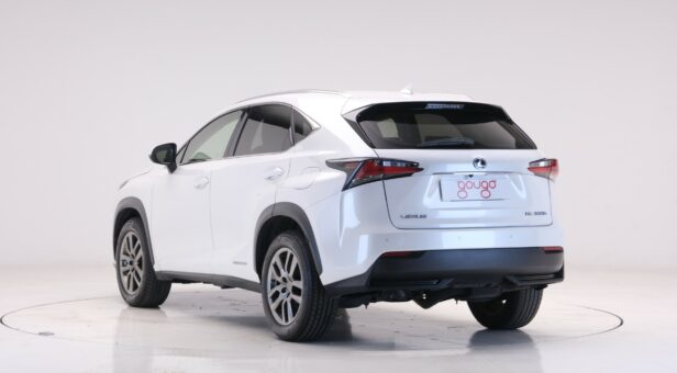 LEXUS NX 300h EXECUTIVE TECNO 4WD AUTO 2.5 197 5p