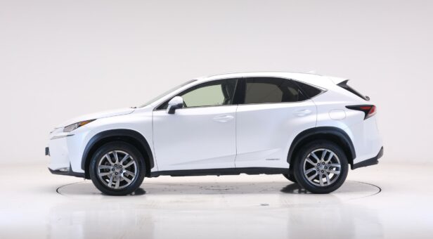 LEXUS NX 300h EXECUTIVE TECNO 4WD AUTO 2.5 197 5p