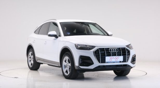 AUDI Q5 TODOTERRENO 2.0 50 TFSI E S TRONIC QUATTRO ADVANCED 299 5p