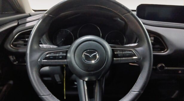 MAZDA CX-30 TODOTERRENO 2.0 E-SKYACTIV-G 90KW ZENITH 2WD AUTO 122 5p