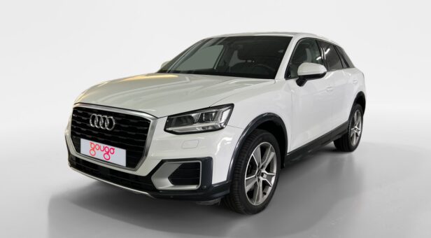 AUDI Q2 Audi Q2  design edition 30 TDI  85(116) kW(CV) S tronic